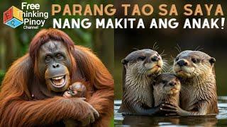 Masayang Pagkikita ng NANAY at kanyang ANAK | Mother Animals Reunited with their Baby