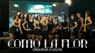 Orquesta Femenina D´Cache - Como La Flor (Audio Oficial) | Música Tropical Para Bailar