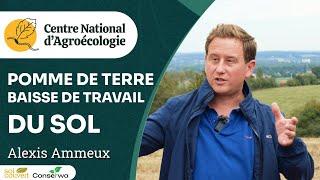 Pommes de terre, semis direct et couverts végétaux dans le Nord, Alexis Ammeux - Journée Séguy 2024
