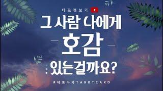[타로카드] 애정운, 나에게 호감이 있을까요?