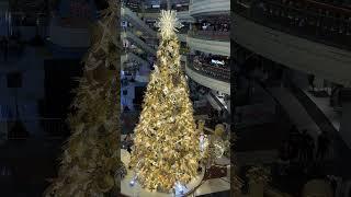 Christmas in the Philippines #christmastree #christmasmusic #wheninmanila #manila