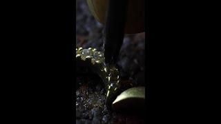 The artistry behind Collection Automne | APM Monaco