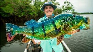 Catching GIANT Peacock Bass in the Amazon!!! (NEW PB)