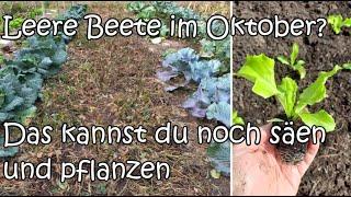 Leere Beete im Oktober? Das kannst du noch säen und pflanzen