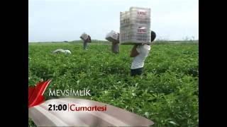 Yeni programımız "Mevsimlik", Cumartesi 21:00'de Hayatın Sesi'nde