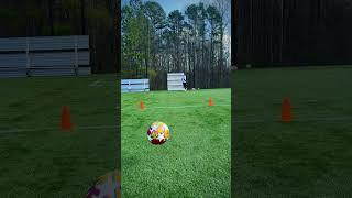 Thiago Alcantara pass #soccer #football