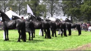 The KFPS Royal Friesian Horse