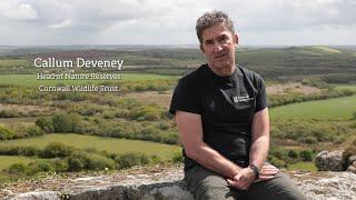 Purchasing Creney Farm and its impact on Cornwall’s wildlife | Helman Tor Land Purchase Appeal