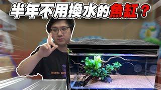 半年不用換水的魚缸？悠合生態缸真的好用嘛？！｜水族時間【黑羽】