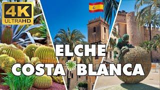 Elche Spain – World Capital of Palm Trees ►  Costa Blanca ►