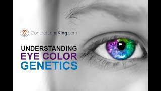 Eye Color Genetics | How Are Eye Colors Determined