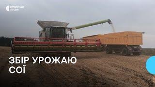 Аграрії Волині молотять сою: скільки планують зібрати