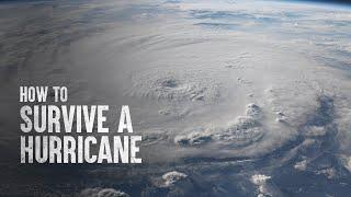 How to Survive a Hurricane, According to Science