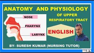 UPPER RESPIRATORY TRACT in ENGLISH