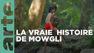 Le vrai livre de la jungle | ARTE Family