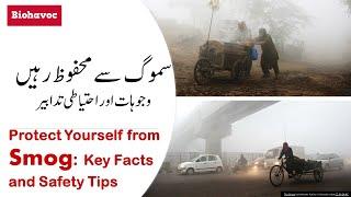 Smog: Protect Yourself, Key Facts and Safety Tips - Biohavoc