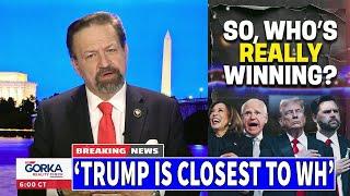 The Gorka Reality Check 10/20/24 FULL | BREAKING NEWS TRUMP October 20, 2024