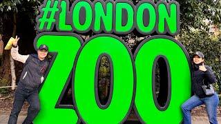 London Zoo Trip