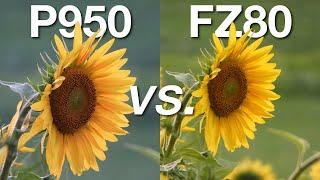 Nikon P950 vs Lumix FZ80 Comparison (Image & Video Quality Test)