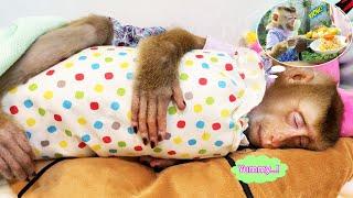 Mother secretly prepared a nutritious meal in silence while Monkey Lyly was sleeping soundly.