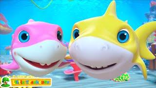 Baby Shark Got A Boo Boo Song | Little Treehouse - Nursery Rhymes & Baby Songs