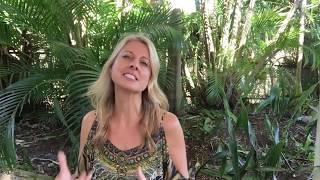 #NatChats 9 - Protect and strengthen your #SolarPlexus #chakra