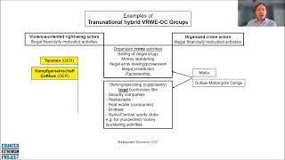 CEP Webinar: The Transnational Nexus of Right-Wing Extremism and Organized Crime | A. Ritzmann