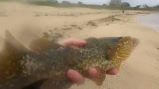 Pêche côtière: sous le soleil, ou sous la pluie, les poissons sont au rendez vous !