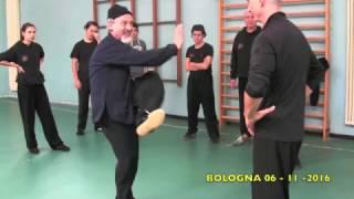 螳螂拳 Tang Lang Quan - Sao Bian Shou