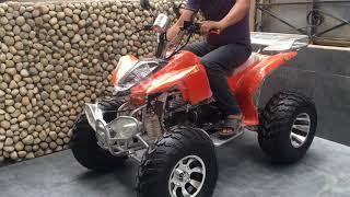 QUAD ATV 200cc - FUN RIDING AROUND DELIVERY ALL OVER INDIA (CALL : +919810168100) #99enterprises