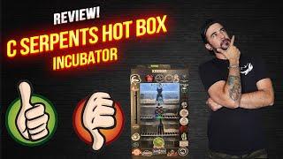 C Serpents Incubator Review!
