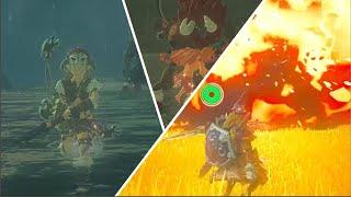 Combat NOOB vs. PRO vs. MASTER in Breath of the Wild