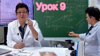 Урок 9 Как за 5 мин узнать о своих будущ болезнях, чтобы «соломку подстелить»- генеалог дерево б- ни