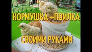 Кормушка и поилка для цыплят своими руками. Самодельная кормушка и поилка для цыплят.