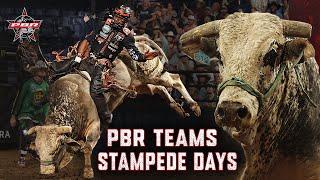 PBR Teams 2024: Nashville Stampede Days | Week 5 Recap | PBR