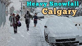 Heavy Snowfall and -15°C Freezing Cold in Calgary Alberta Canada  #canada #calgary #Alberta #snow