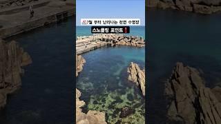천연 바다수영장 고정댓글참고 #스노클링 #스노쿨링 #양양 #바다수영 #낚시 #하조대