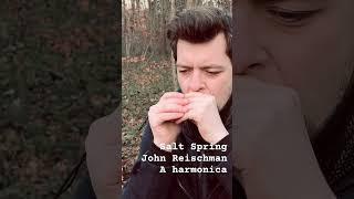 Salt Spring - John Reischman - Bluegrass harmonica #bluesharmonica #music #blues #bluegrass