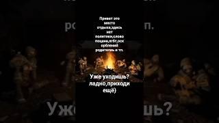 это место только для добрых людей #сталкер #chickengun #ден19к