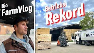 Stapler fahren non stop.. 20 LKW's in unter 2 Tagen verladen! Das ist ein neuer Rekord / Vlog 135