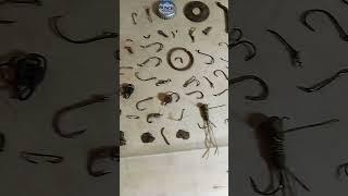 (Part 6) Finds from a dam #dirtfishing