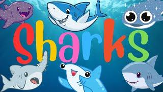 learning video of sharks for kids- Learning Sea Animals for Kids