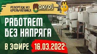 16.03.2022 Прямой эфир из крольчатника.