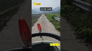 오늘 한번 달려봐! #노란용 #시골생활 #이앙기 #질주 #농사는너무힘들어
