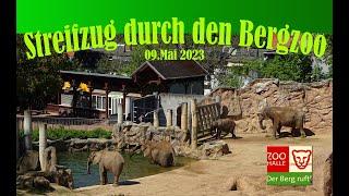 Spaziergang durch den Bergzoo Halle  Saale 09 05 2023