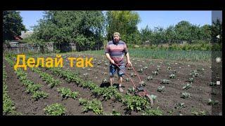 Забудь бабушкины грядки