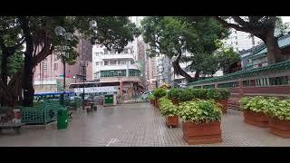 香港 - 榕樹頭, 油麻地社區中心休憩花園 Hong Kong - Yung Sue Tau, Yau MA Tei Community Centre Rest Garden