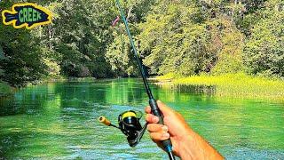 Incredible Wade Fishing... Monster BASS!!