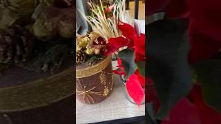 Spreading Holiday Cheer at Ottawa Flowers Inc.! #ottawa #flowershop #florist #myottawa #christmas
