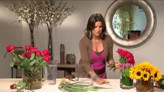 איריס רוזין עיצוב פלוס - אלמנטים ערוץ בית+